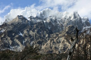 IMG_0046.CR2