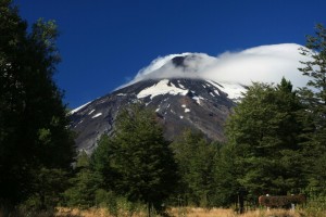 IMG_0367.CR2