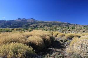 IMG_0400.CR2