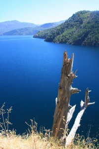IMG_0463.CR2