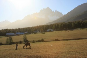 IMG_0942.CR2