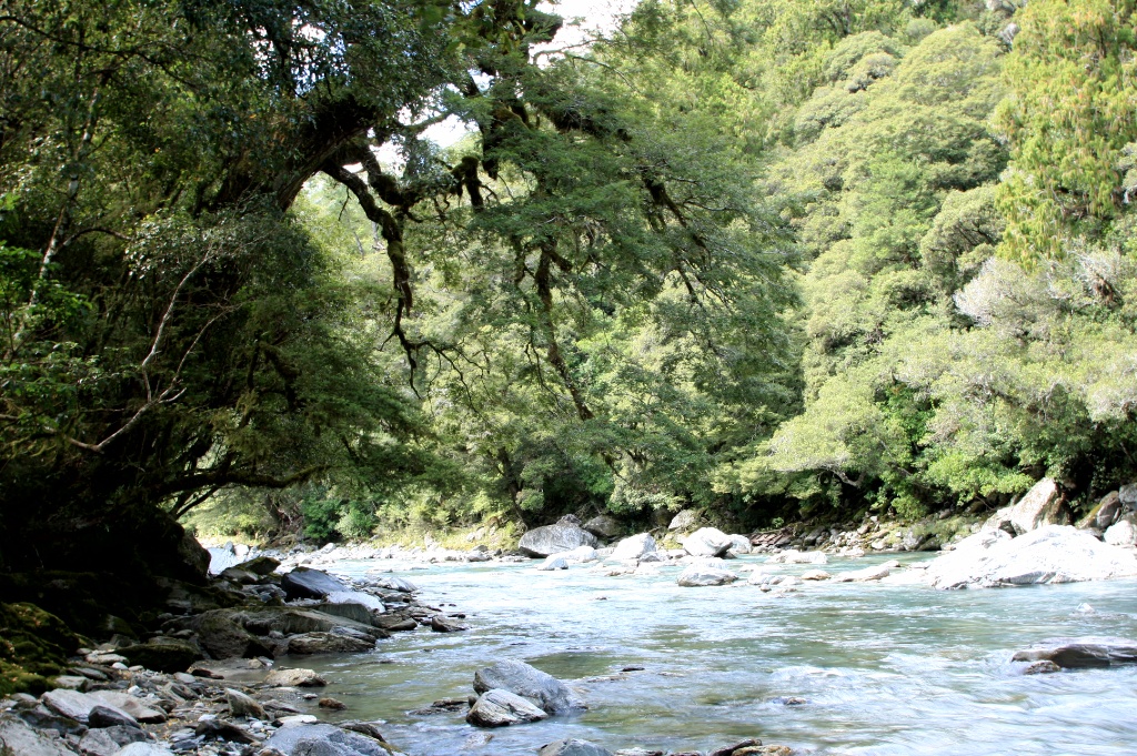 wp-1455473701791 image